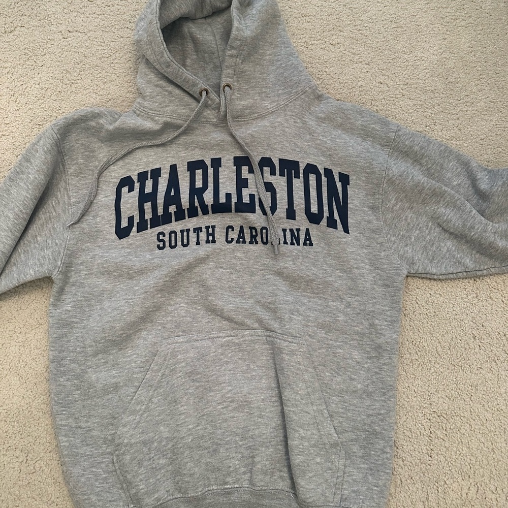 gray charestlon hoodie